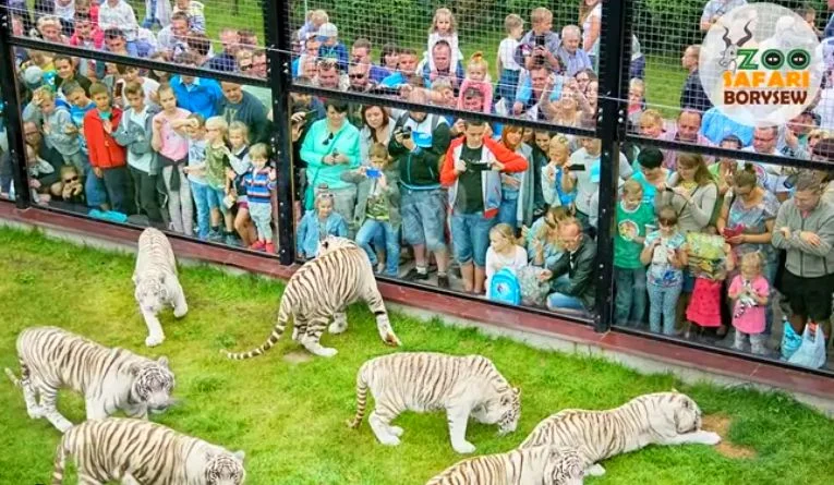 Szykuje się Dzień Dziecka z Radiem Eska! Zoo przygotowało zniżki na bilety - Zdjęcie główne