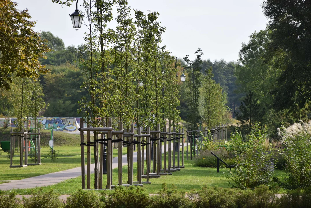 Jak wyglądał park miejski w Zgierzu?