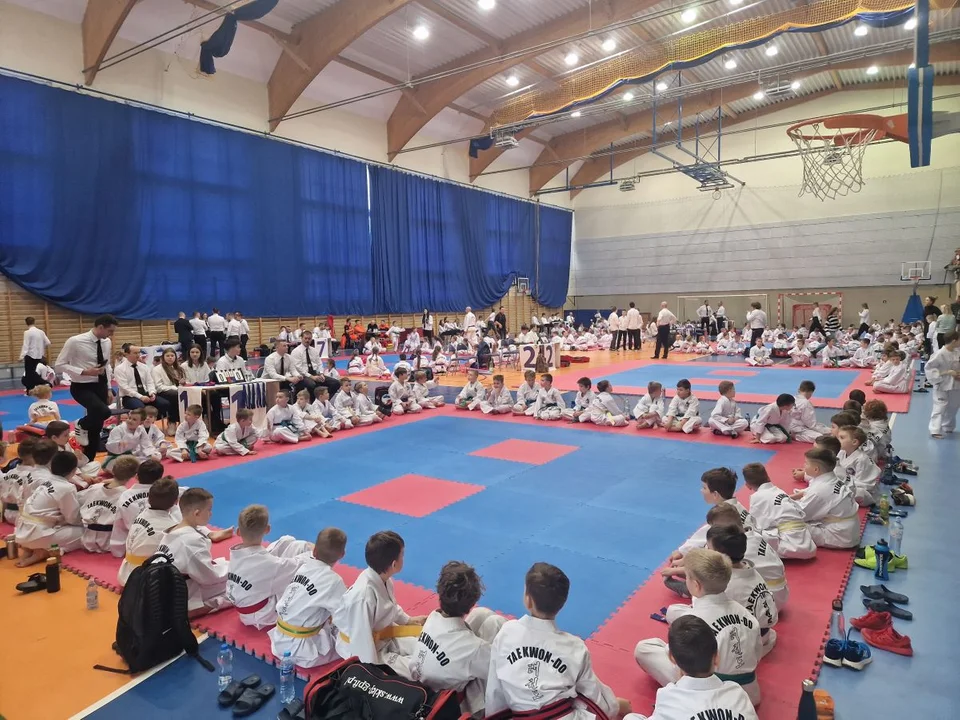 Za nami Mistrzostwa Wielkopolski Taekwon-do. Klub z Gostynina z wrócił z workiem medali!  - Zdjęcie główne