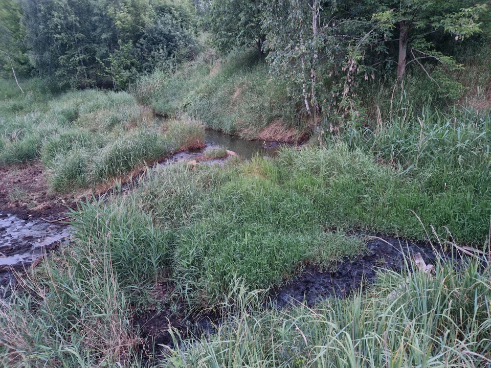 Kolejny pożar na składowisku odpadów w Zgierzu