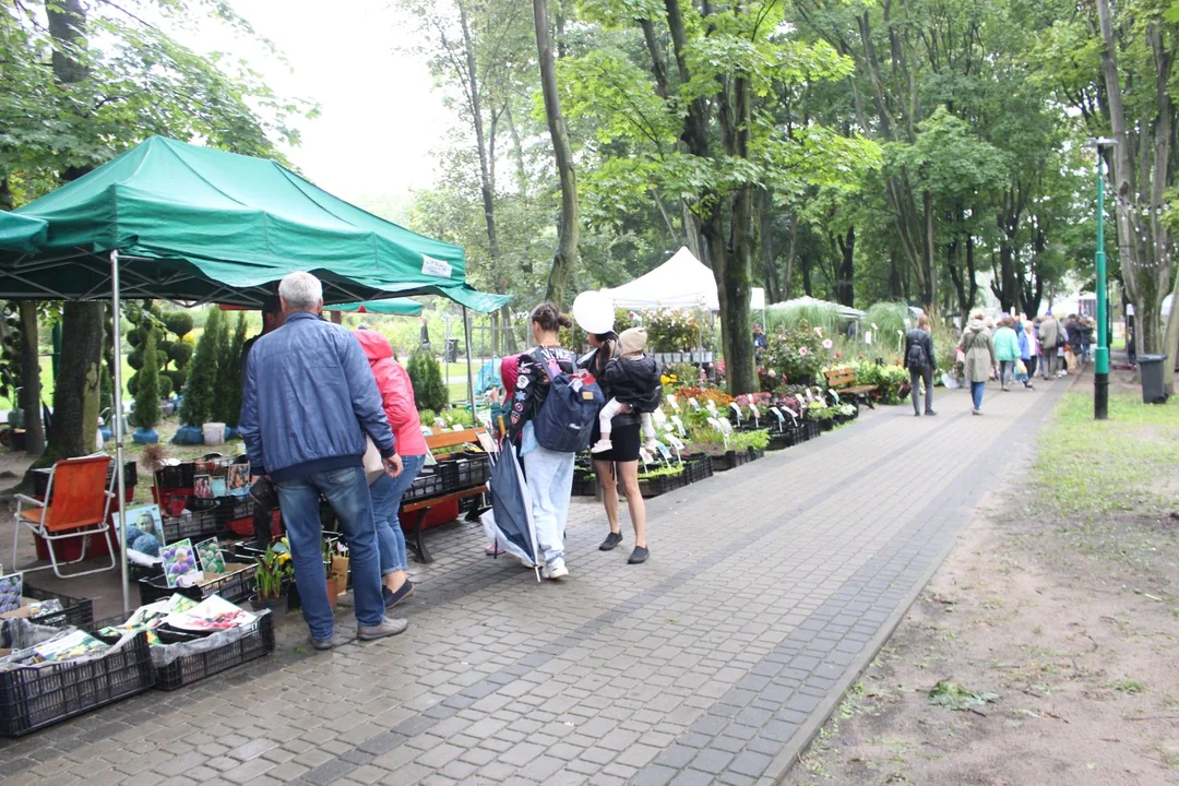 Trwa Święto Róży. Sporo osób odwiedza park Traugutta