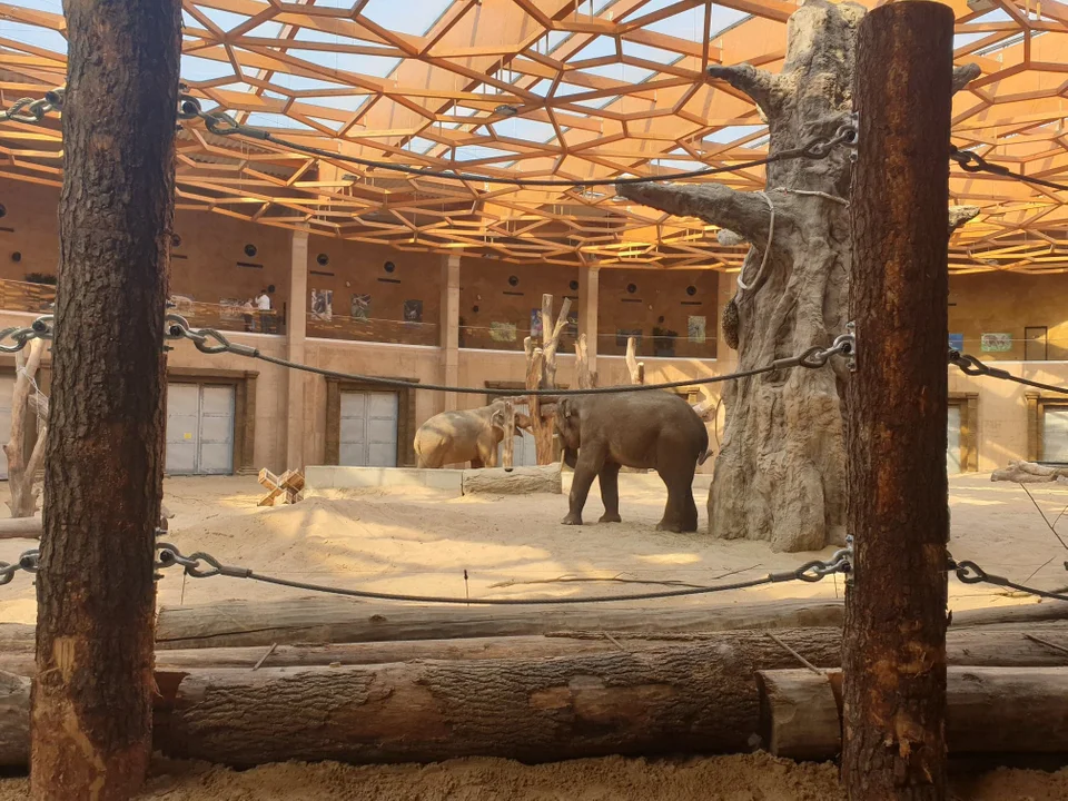 Orientarium w Łodzi. Sprawdź atrakcje, ceny i godziny otwarcia - Zdjęcie główne