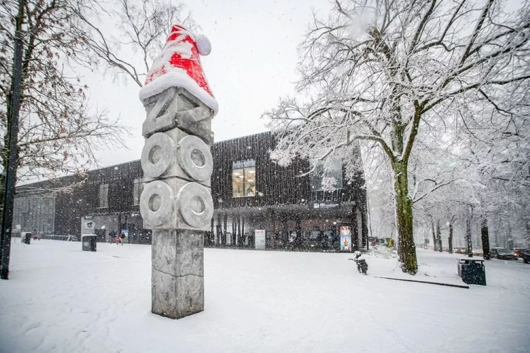 Dwie zimowe atrakcje sezonu są w Łodzi