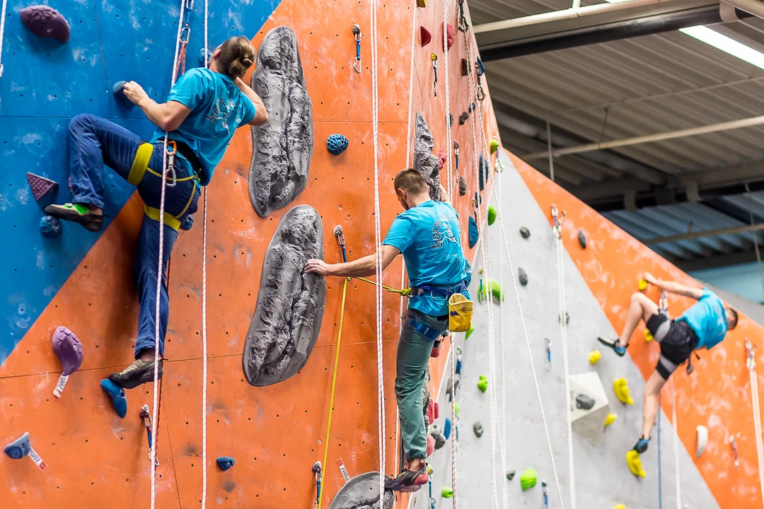 Born to Climb po raz drugi w Płocku. Śmiałkowie mierzyli się ze ścianą wspinaczkową [ZDJĘCIA] - Zdjęcie główne