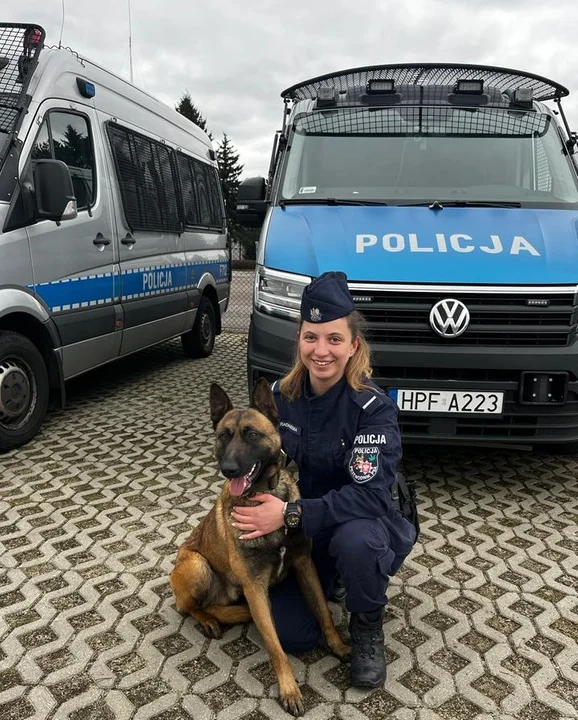 Nowe psy w łódzkiej policj