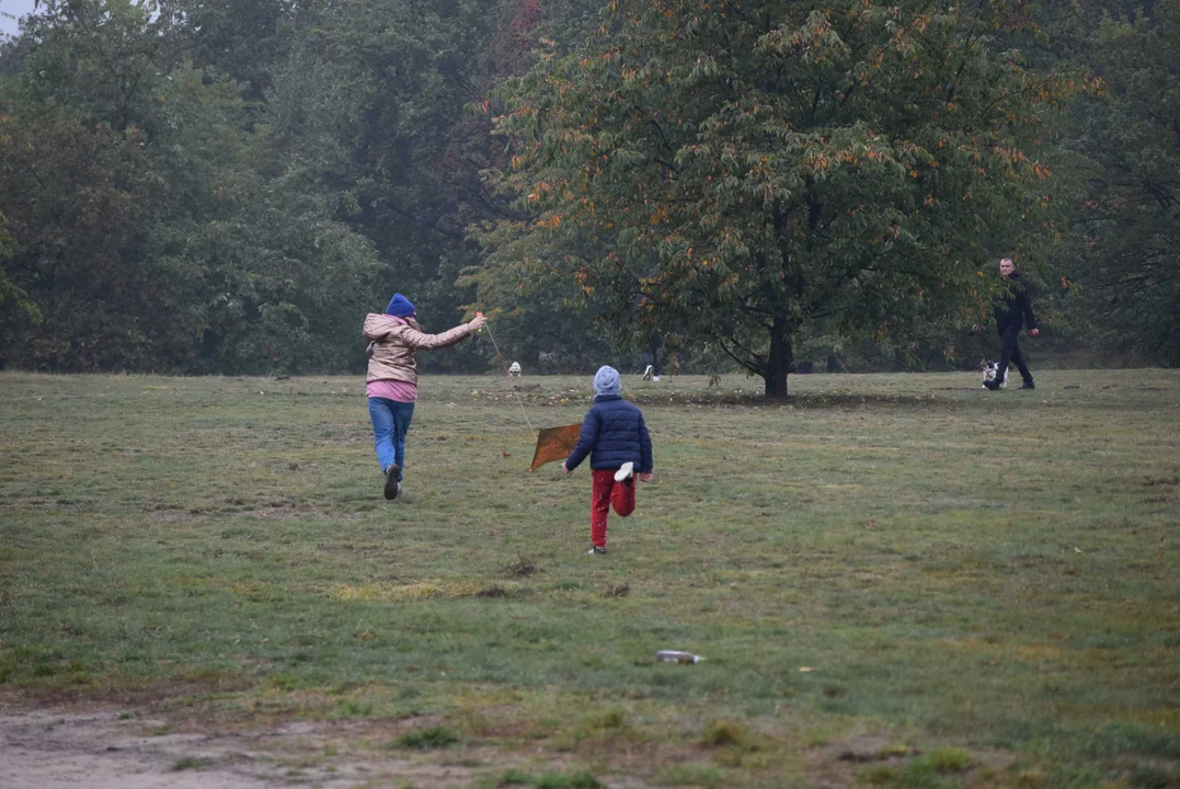 Święto Latawca w Zgierzu