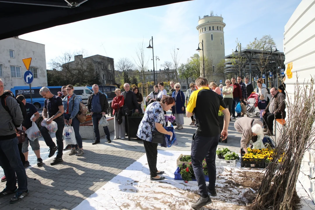 Mieszkańcy Piotrkowa z torbami wypełnionymi po brzegi przyszli się wymienić. Trwa powiatowa akcja [zdjęcia] - Zdjęcie główne