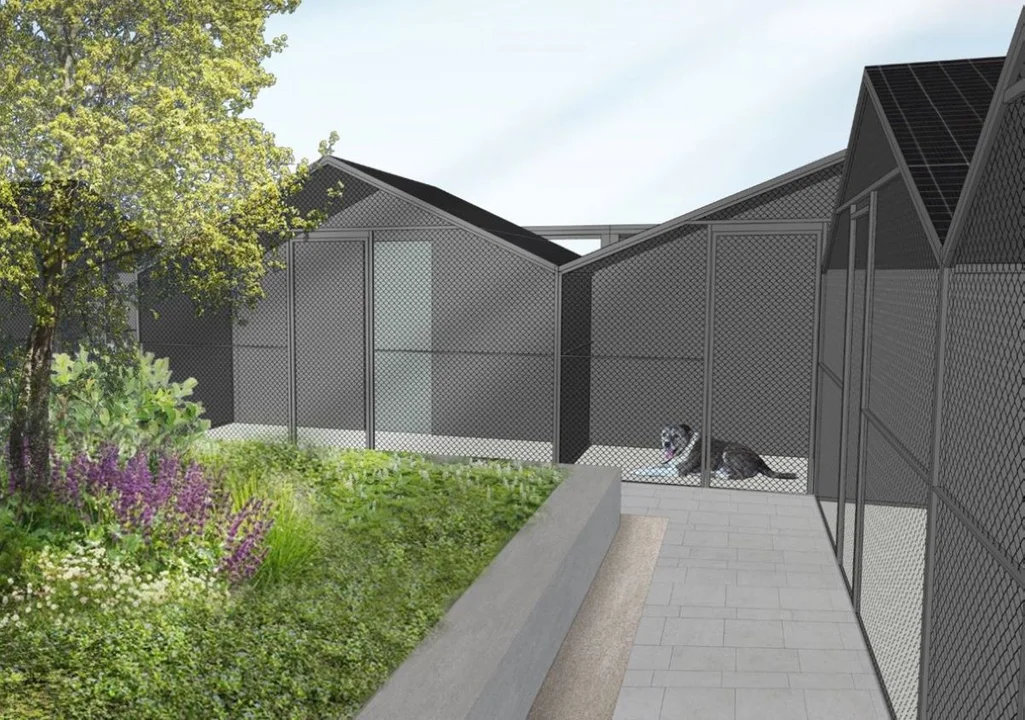 Koniec hałasu i stresu? Miasto szykuje rewolucję w łódzkim schronisku - Zdjęcie główne