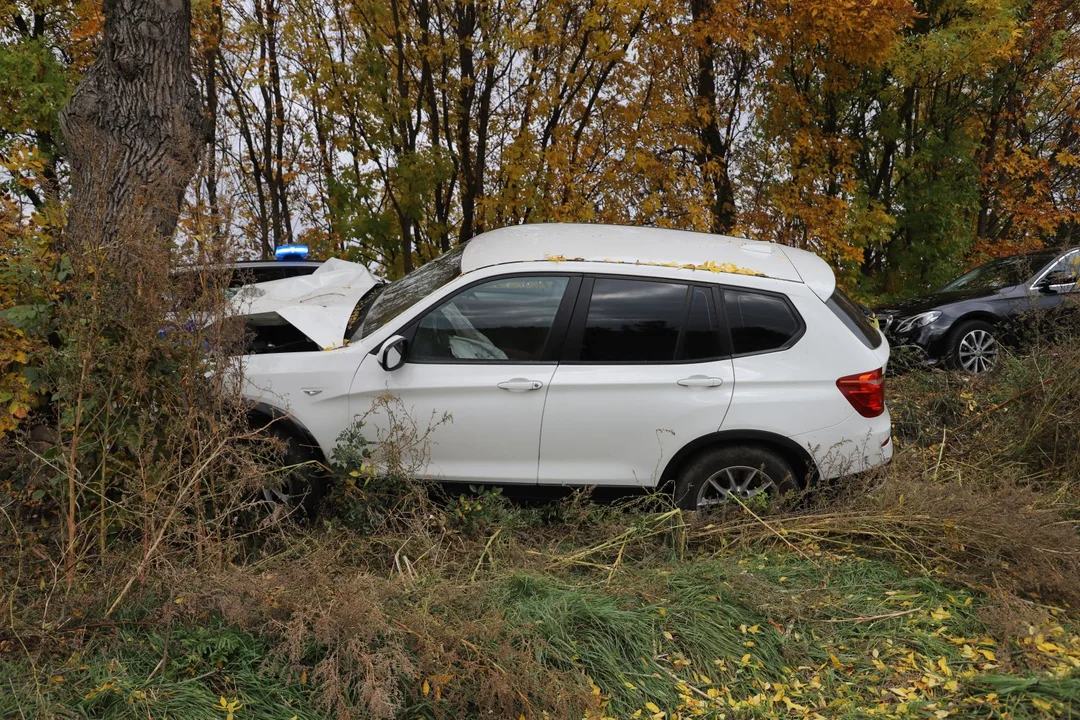 Samochód uderzył w drzewo. Na miejscu kutnowskie służby [ZDJĘCIA] - Zdjęcie główne