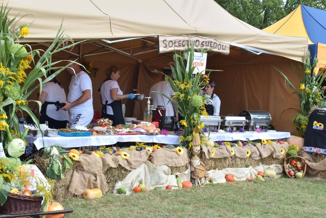 Dożynki gminy Stryków w Warszewicach