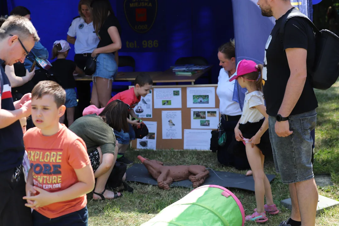 Piknik rodzinny z okazji dnia dziecka na Młynku w Łodzi