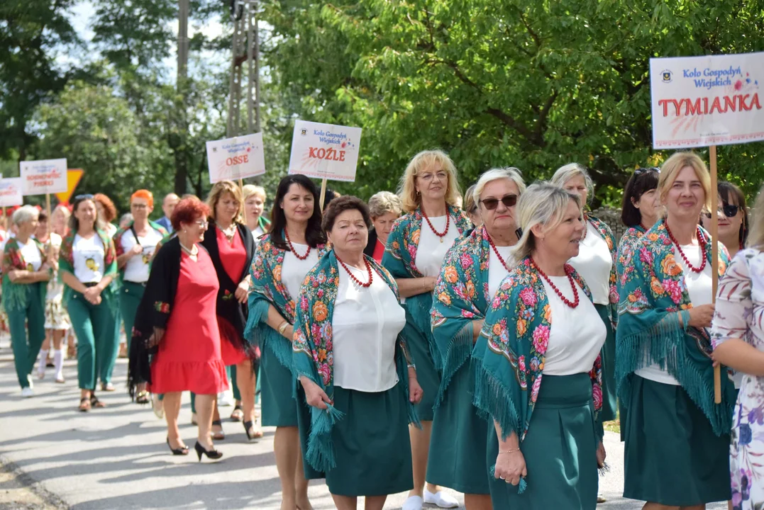 Dożynki gminy Stryków w Warszewicach