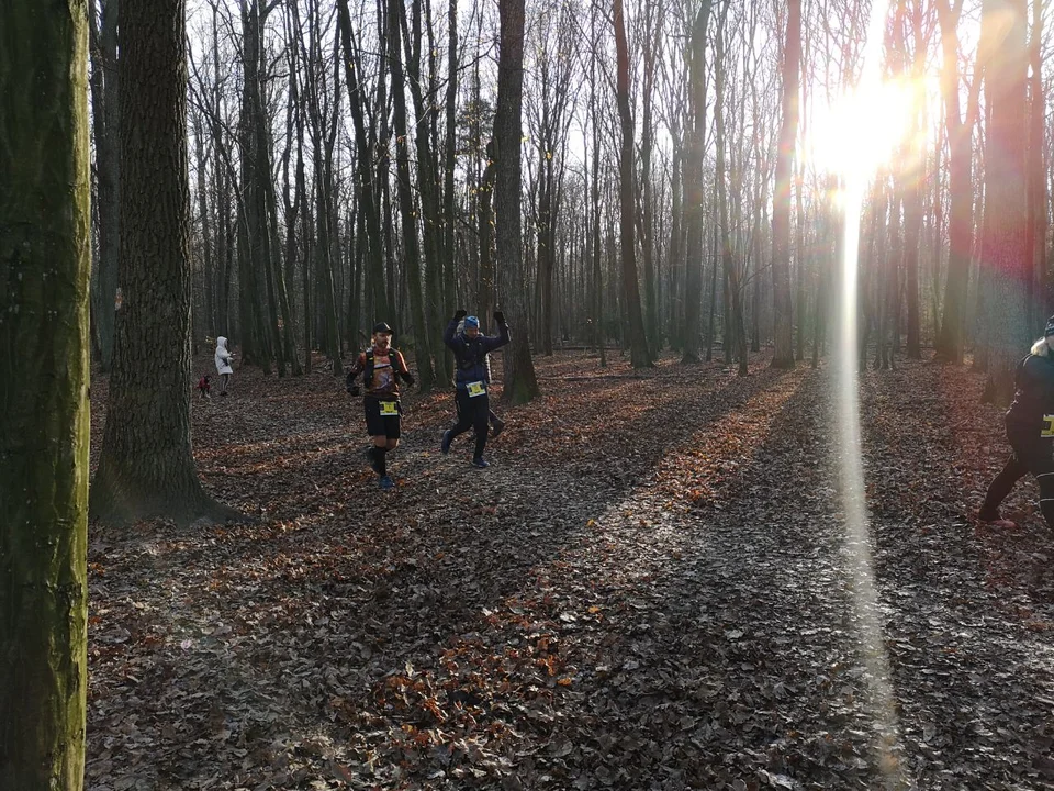 Towarzyski Maraton Leśnym Szlakiem już po raz 19.