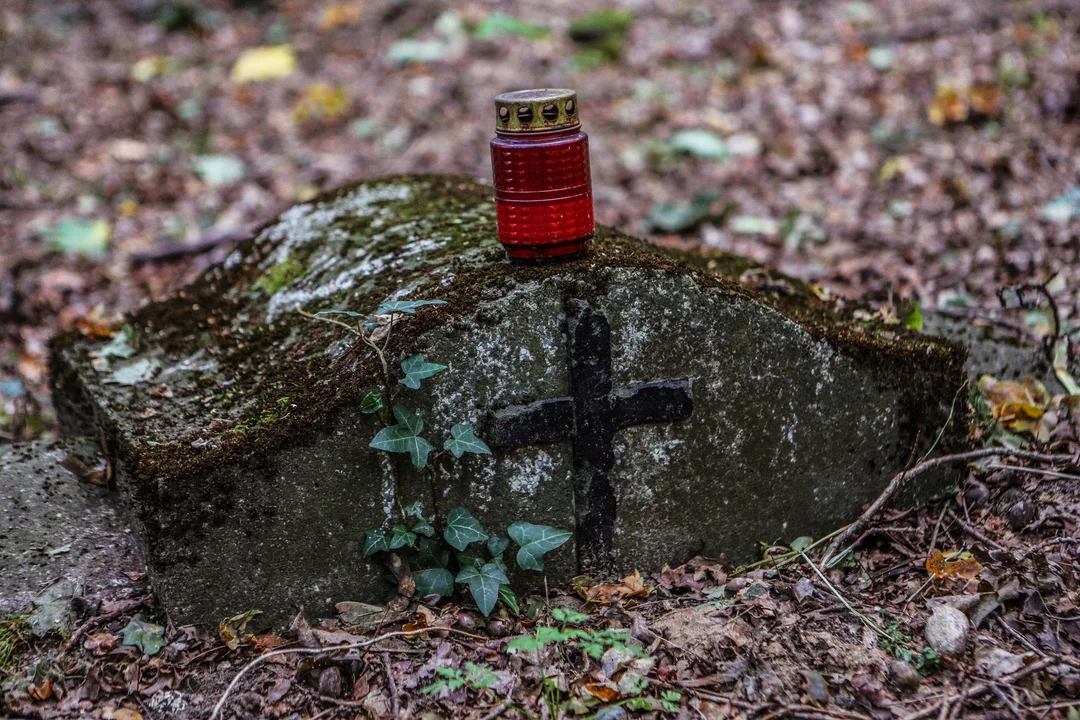 Stare zapomniane cmentarze niedaleko Zgierza. Kto dziś o nich pamięta? - Zdjęcie główne