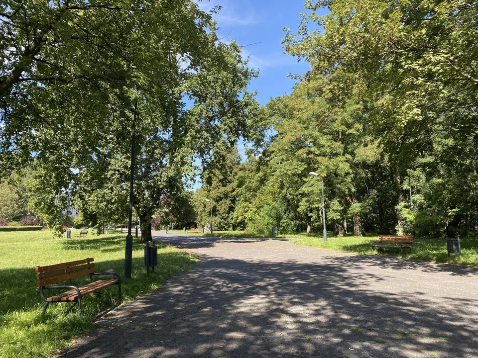 Polsko-Ukraiński Piknik w Parku Baden-Powella w Łodzi