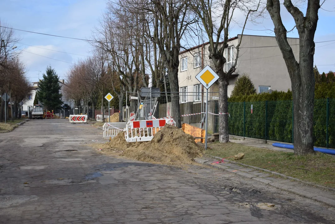 Z ulicy Fijałkowskiego w Zgierzu  znikną drzewa