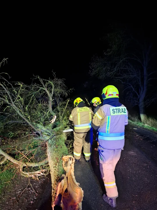 Wichura w Łódzkiem