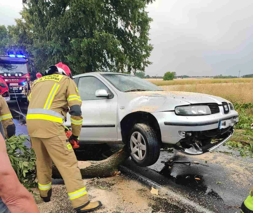 Drzewo spadło wprost przed nadjeżdżające auto