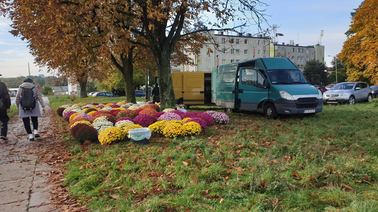 Mieszkańcy przygotowują się do dnia Wszytskich Świętych