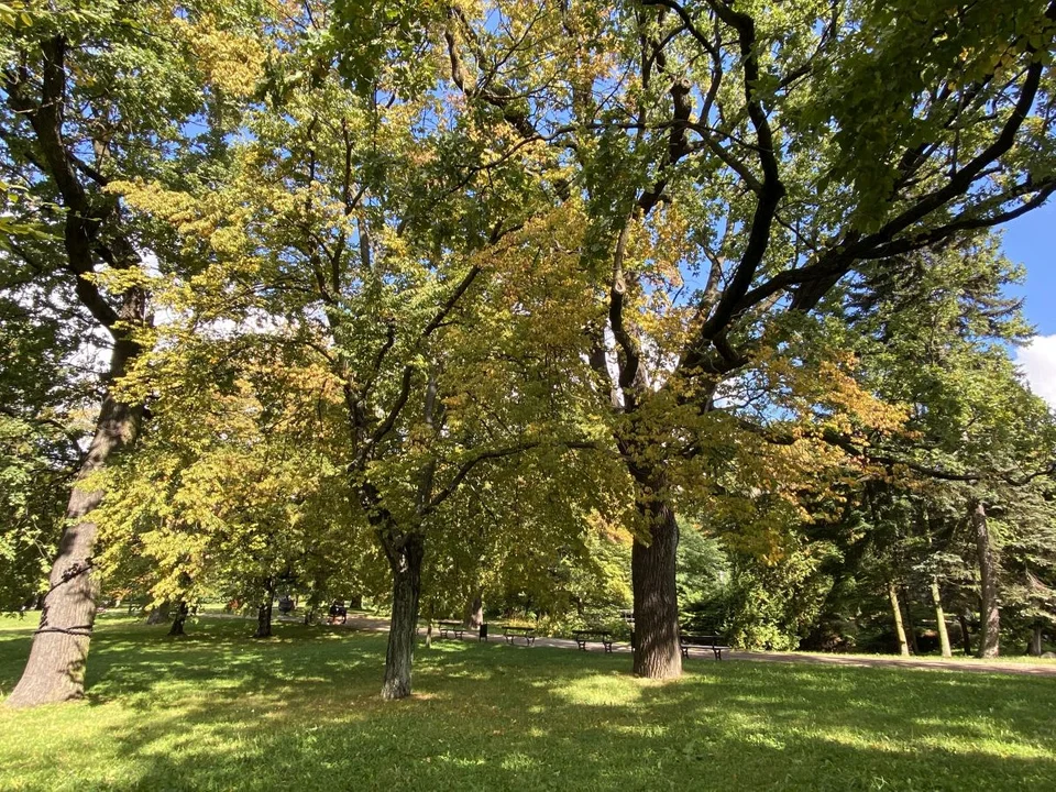 Park Źródliska jesienią