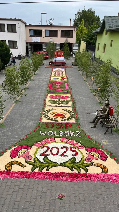 kwietny dywan Wolbórz