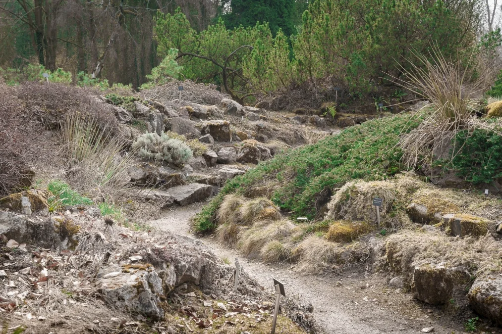 To jedno z najbogatszych tego typu obiektów w Europie. Znajduje się w woj. łódzkim (ZDJĘCIA)