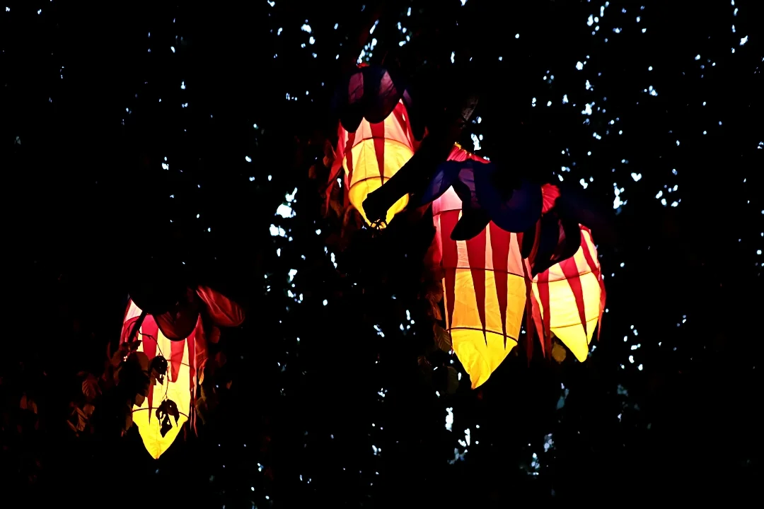 Light Move Festival 2025 – muzyczny drugi dzień