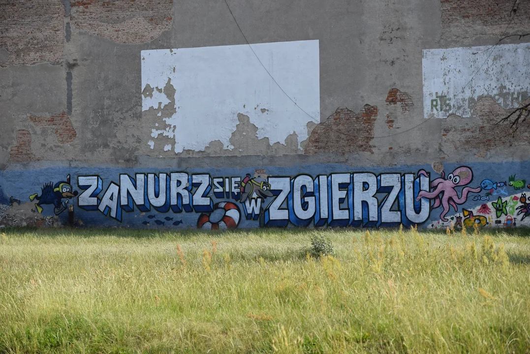 Zgierskie murale