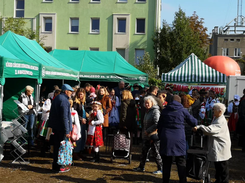 Łodzianie i mieszkańcy okolic na ryneczku marszałkowskim przy Drewnowskiej w Łodzi