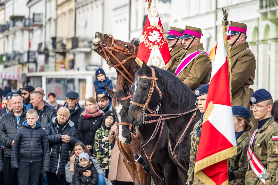 Uroczystości patriotyczne w Płocku. Uczczono 105. rocznicę odzyskania niepodległości [ZDJĘCIA] - Zdjęcie główne