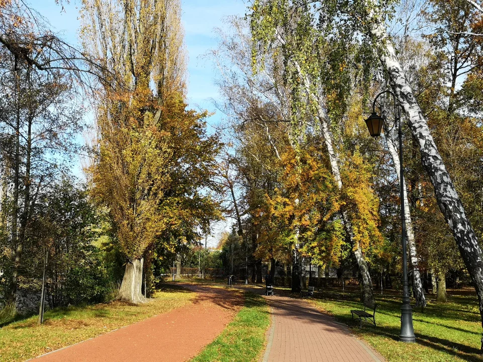 Zgierzanie korzystają z pięknej jesiennej pogody