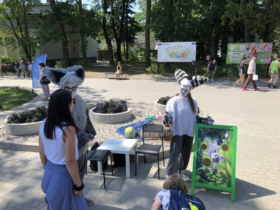 Dzień kapibary w łódzkim Orientarium