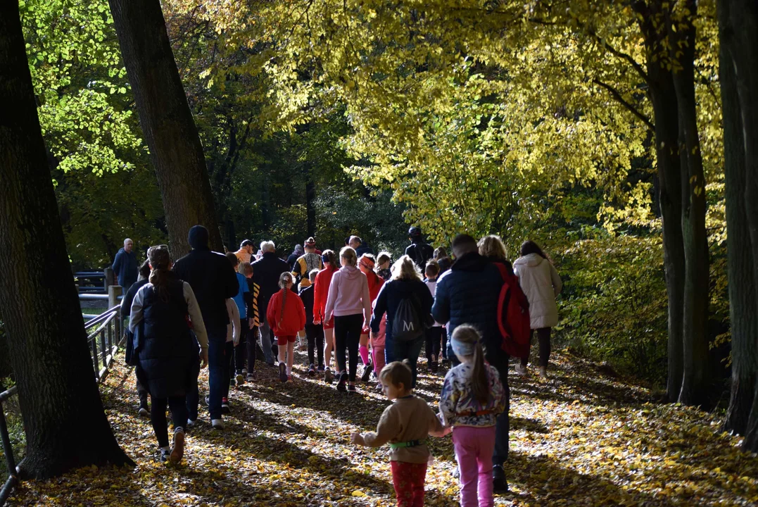 Jesienny Festiwal Szakala