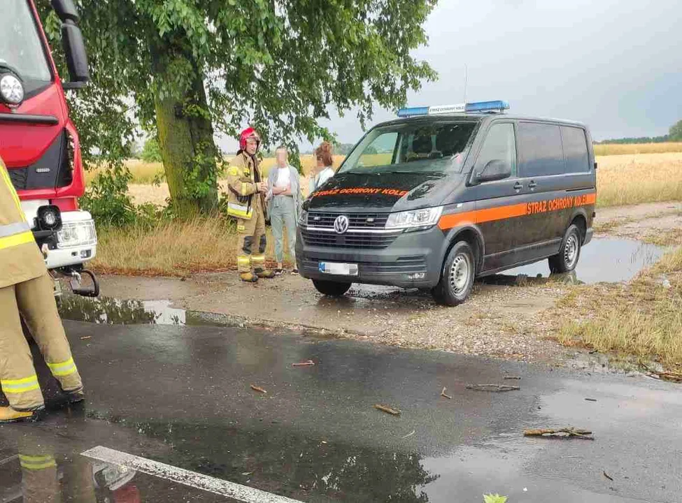 Drzewo spadło wprost przed nadjeżdżające auto