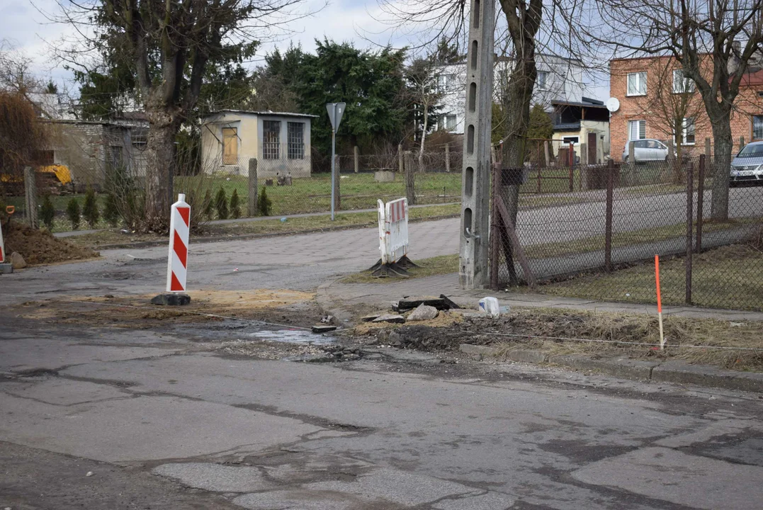 Z ulicy Fijałkowskiego w Zgierzu  znikną drzewa