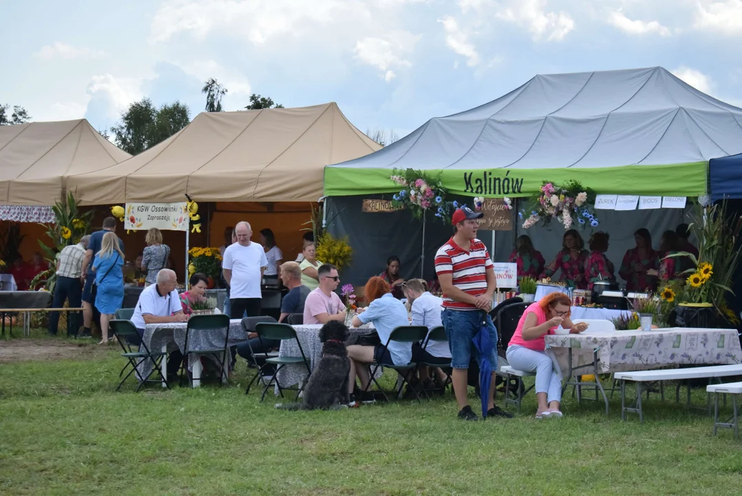 Dożynki gminy Stryków w Warszewicach