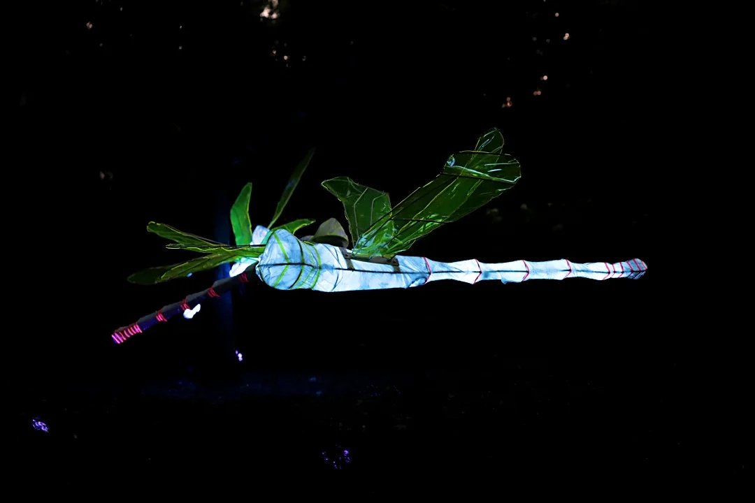 Light Move Festival 2025 – muzyczny drugi dzień