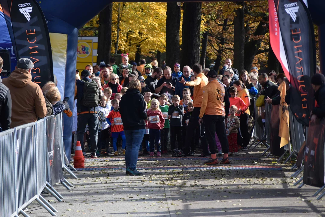 Jesienny Festiwal Szakala