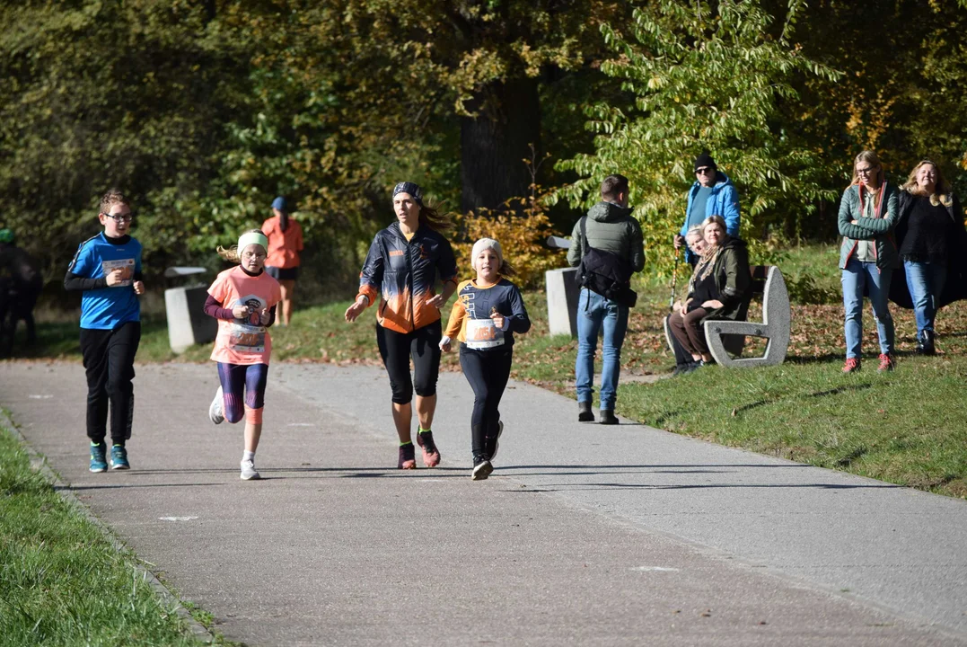 Jesienny Festiwal Szakala