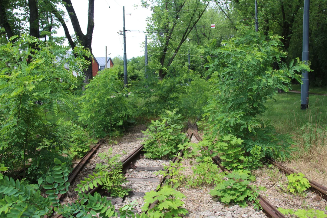 Nieczynne przystanki tramwajowe przy Konstantynowskiej