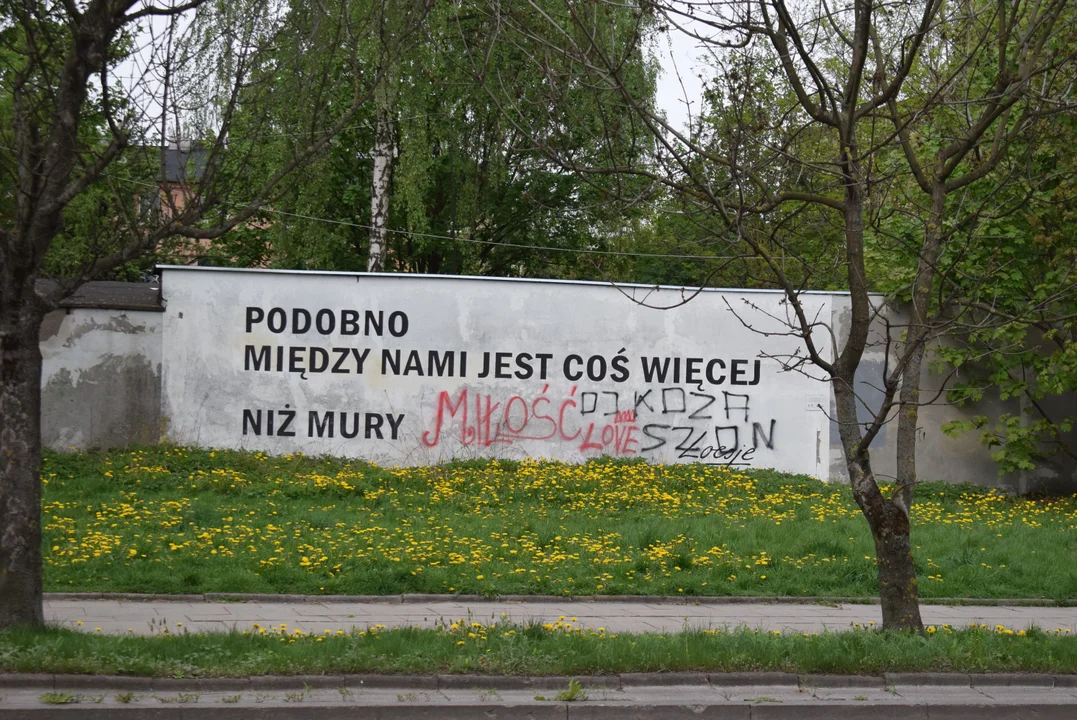 Wiosna w Zgierzu