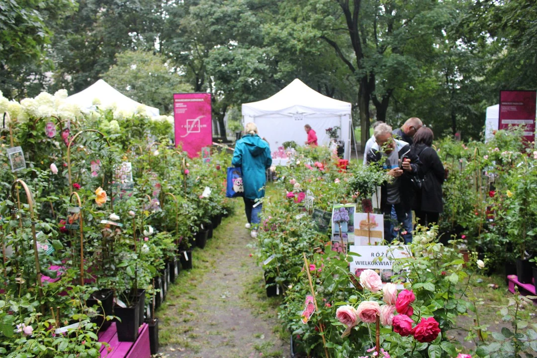 Trwa Święto Róży. Sporo osób odwiedza park Traugutta