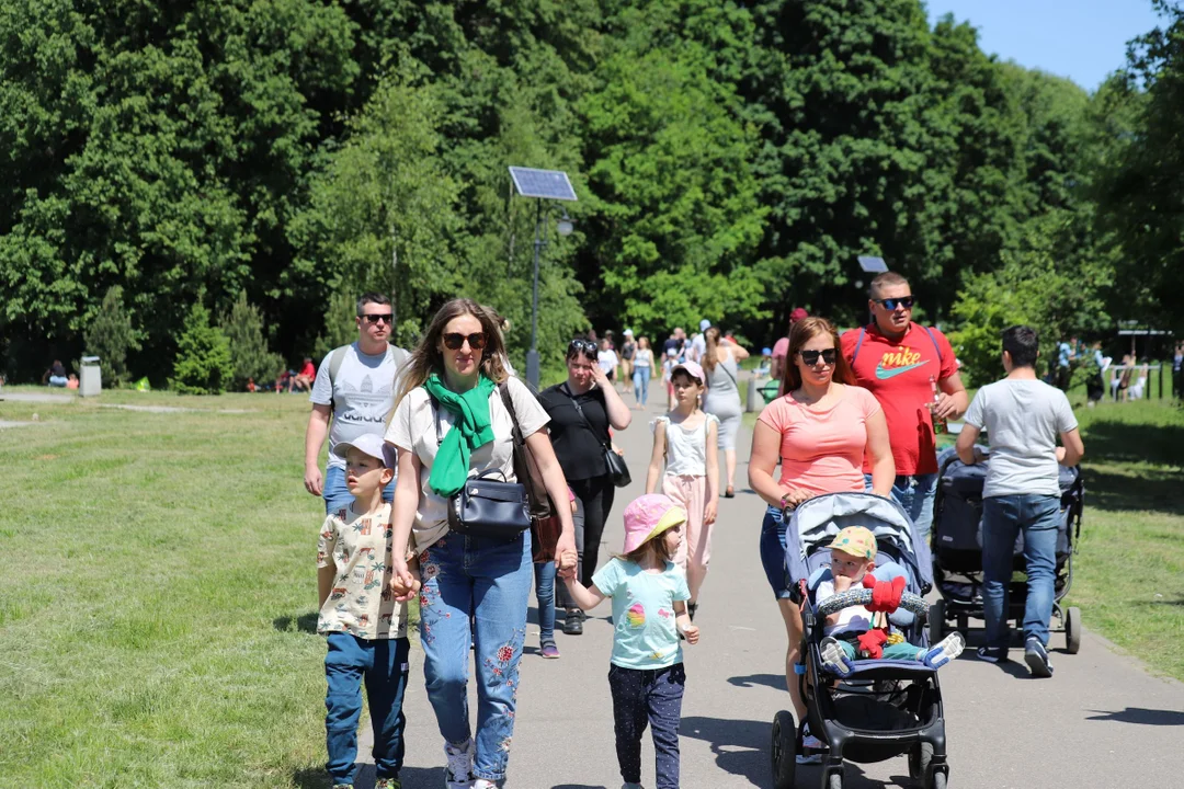 Piknik rodzinny z okazji dnia dziecka na Młynku w Łodzi