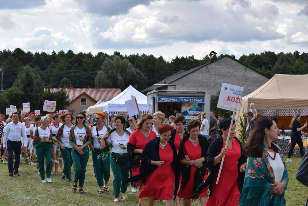 Dożynki gminy Stryków w Warszewicach