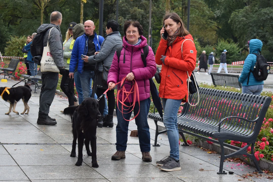 Światowy Dzień Zwierząt w Łodzi