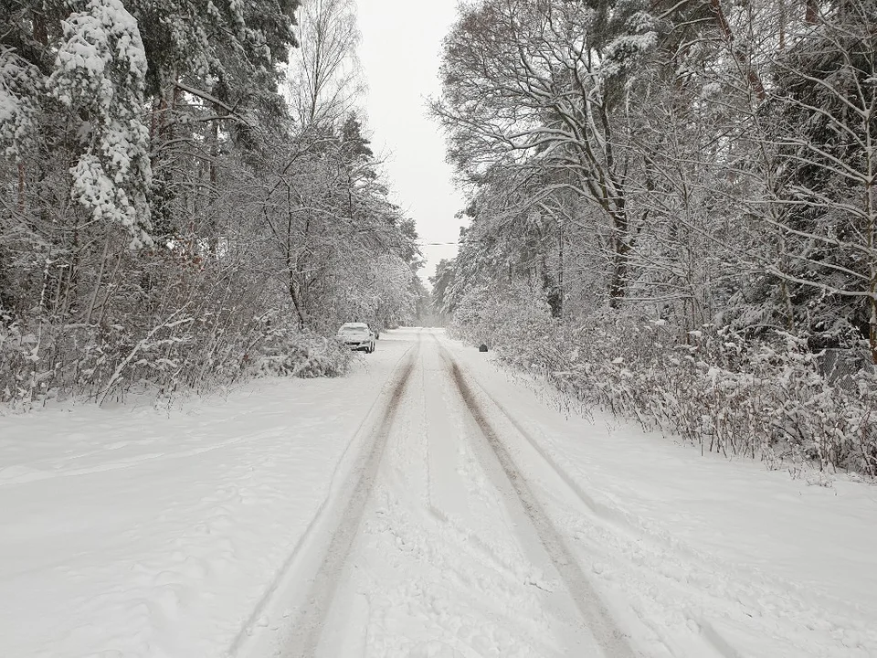 Śnieżna galeria ze Zgierza i Sokolnik-Lasu