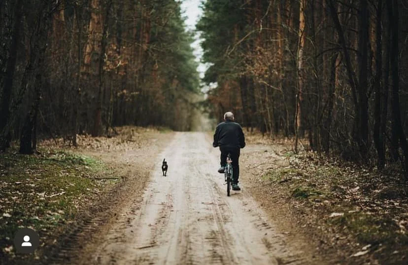 Sokolniki-Las to piękna miejscowość. Zobaczcie galerię zdjęć mieszkańców