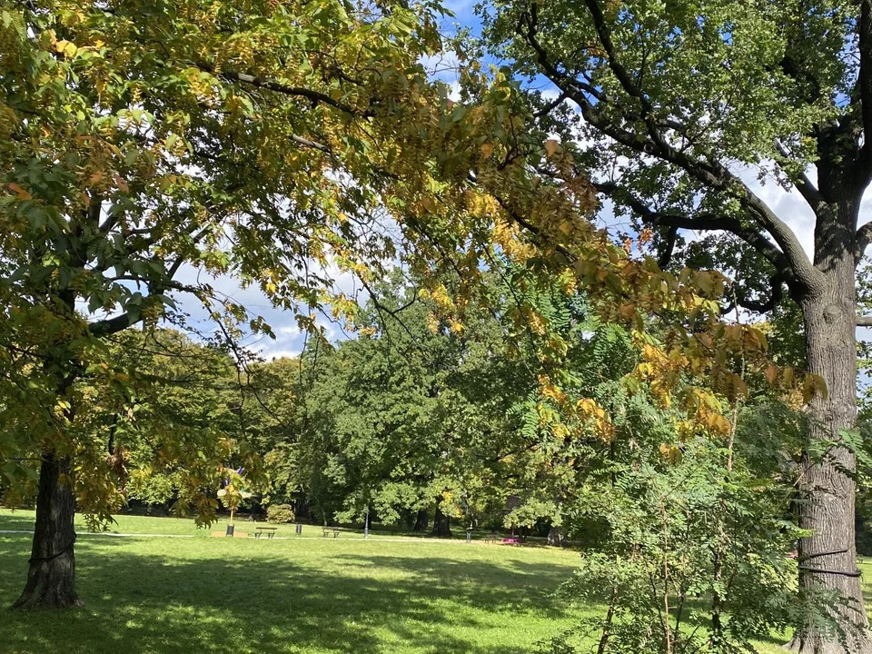 Park Źródliska jesienią