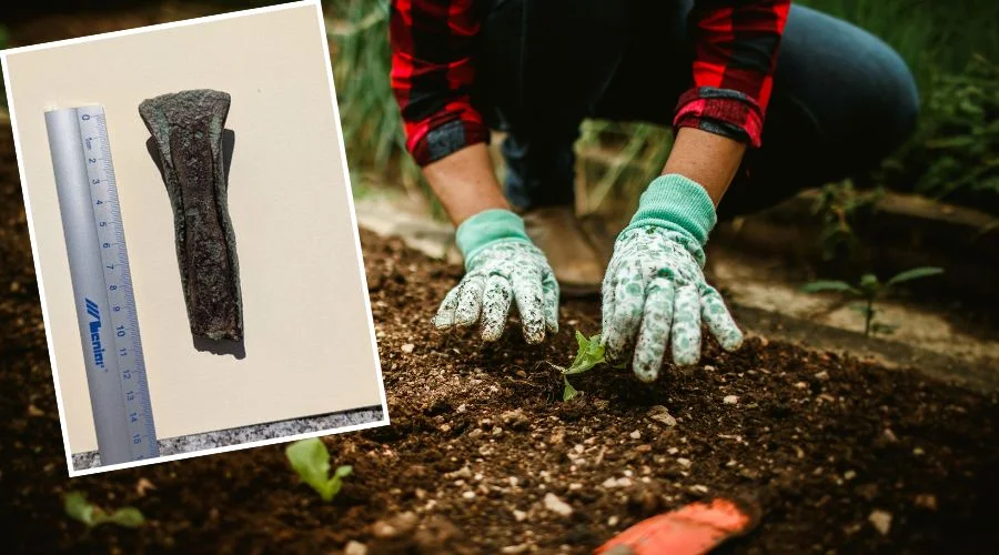 Znalazł w swoim ogrodzie przedmiot sprzed wieków. Dostał zaskakującą nagrodę - Zdjęcie główne