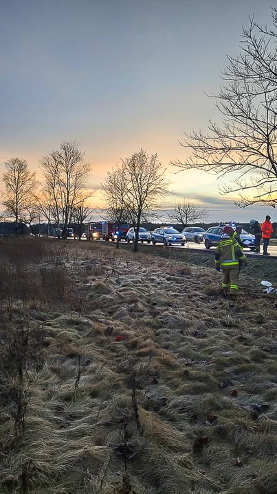 Bus wbił się w przydrożne drzewa. Jedna osoba trafiła do szpitala